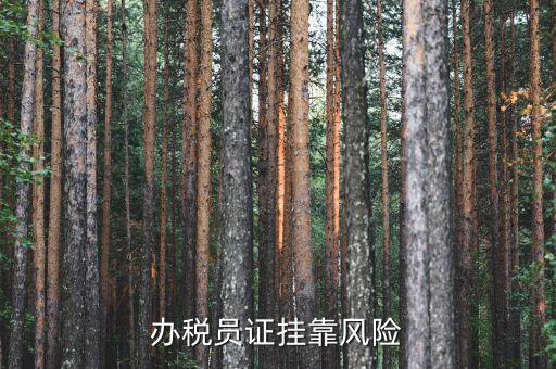 實(shí)名辦稅員有什么風(fēng)險(xiǎn)，里面有個(gè)辦稅人要填我的名字會(huì)不會(huì)付法律責(zé)任有什么風(fēng)險(xiǎn)沒