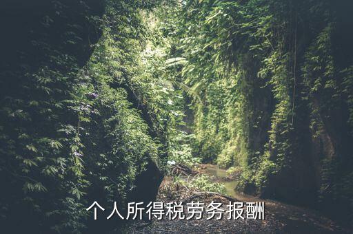 個稅什么情況勞務(wù)報酬，有關(guān)個稅勞務(wù)報酬