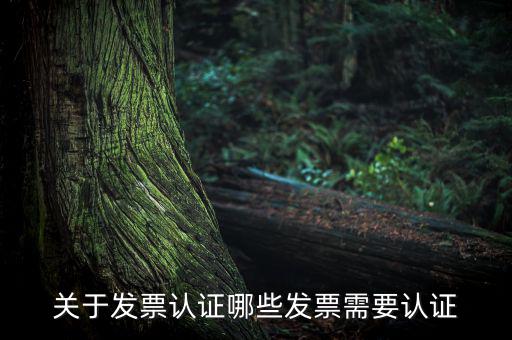 發(fā)票通過什么認(rèn)證嗎，關(guān)于發(fā)票認(rèn)證哪些發(fā)票需要認(rèn)證