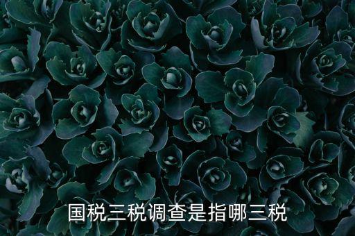 全國(guó)稅收調(diào)查是什么，全國(guó)稅收調(diào)查表中審核公式IFXXBB8 1 XXBB8 4