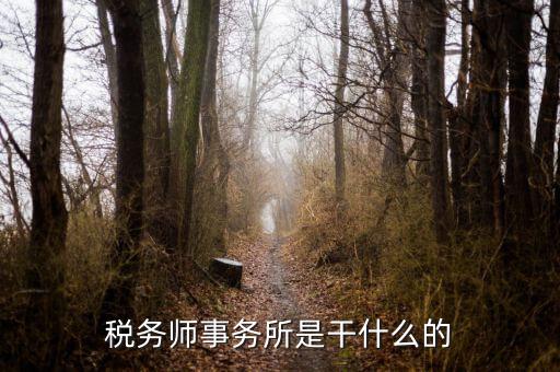 稅務(wù)師事務(wù)所 外勤是做什么的，稅務(wù)師事務(wù)所是干什么的