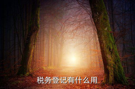 有稅務(wù)登記有什么好，稅務(wù)登記有什么用