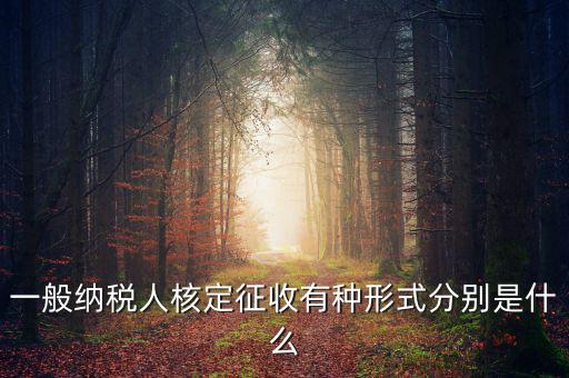 國稅函調是什么形式，國稅函調系統(tǒng)可以發(fā)起普通發(fā)票協(xié)查嗎