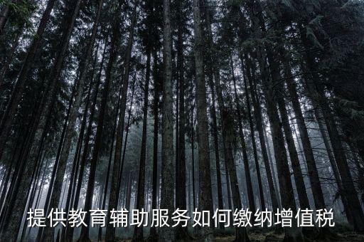 教育輔助服務(wù)包括什么，教育咨詢服務(wù)包括代理招生嗎
