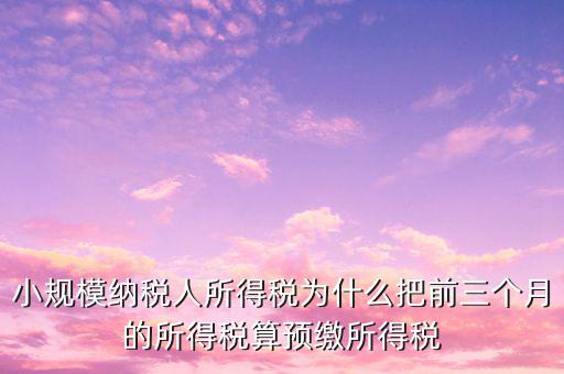 為什么會(huì)有預(yù)繳所得稅，我企業(yè)是今年1月被稅局核定按收入繳納企業(yè)所得稅 為什么第一季度報(bào)