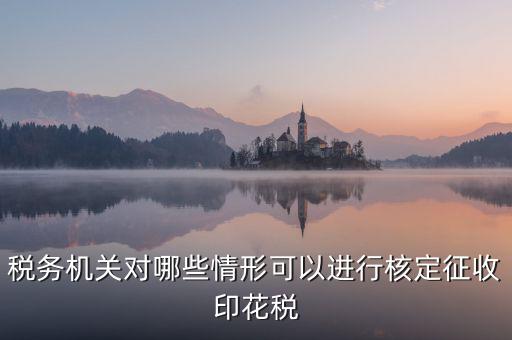 核定印花稅是什么意思，關(guān)于印花稅的核定比例