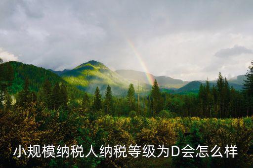 納稅等級(jí)d級(jí)有什么影響，納稅信用d級(jí) 對(duì)股權(quán)關(guān)聯(lián)法人不同的總子公司有影響嗎