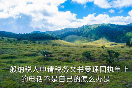 納稅文書受理是什么，陜西電子稅務(wù)局 文書受理 在哪看