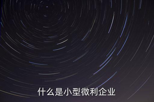 什么是小型微利，什么是小型微利企業(yè)收入從業(yè)人員其它條件