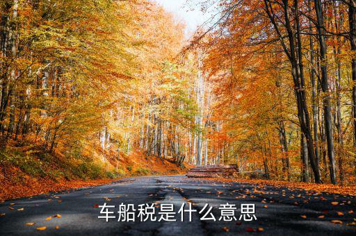 車船稅干什么用的，車船稅具體有些什么用處呢