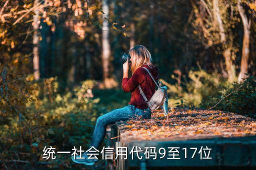 統(tǒng)一社會信用代碼號是什么，統(tǒng)一社會信用代碼9至17位