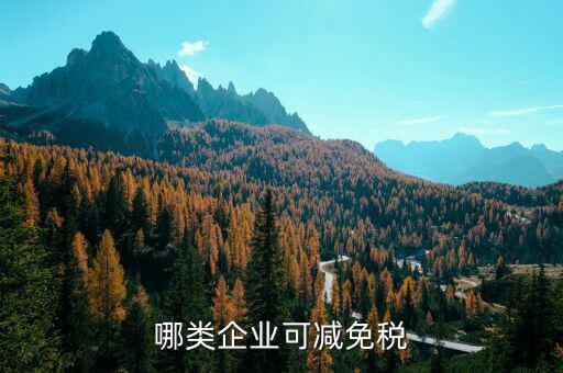 什么樣的企業(yè)免增值稅，哪些企業(yè)免征增值稅