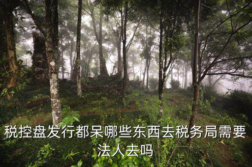 辦理稅控盤去什么地方，稅控盤發(fā)行都呆哪些東西去稅務局需要法人去嗎