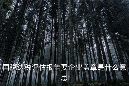 稅務(wù)國別報(bào)告是什么意思，國稅納稅評(píng)估報(bào)告要企業(yè)蓋章是什么意思