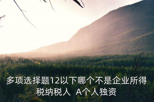 什么納稅人，多項(xiàng)選擇題12以下哪個(gè)不是企業(yè)所得稅納稅人  A個(gè)人獨(dú)資