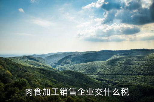 賣肉類交什么地稅，批發(fā)肉類的稅是多少