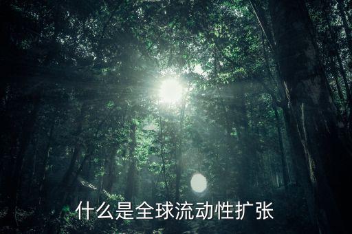 什么叫非居民風(fēng)險，為什么歐洲央行負(fù)債資金來源于非居民