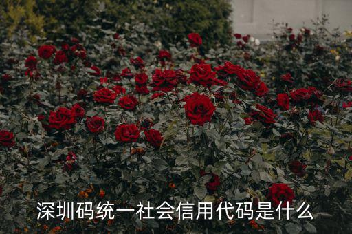統(tǒng)一社會信用代碼指什么影響，深圳碼統(tǒng)一社會信用代碼是什么