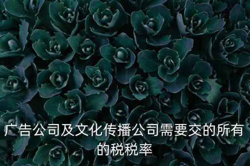 廣告公司需要交什么稅，廣告公司及文化傳播公司需要交的所有的稅稅率