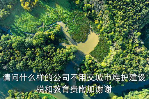 請問什么樣的公司不用交城市維護建設稅和教育費附加謝謝