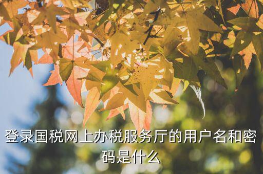 江蘇國(guó)稅電子稅務(wù)局登錄用戶名是什么，江蘇國(guó)稅網(wǎng)上辦稅服務(wù)廳的用戶名是什么
