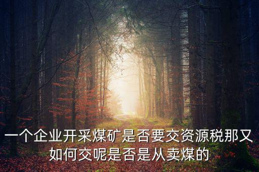 煤在什么環(huán)節(jié)征資源稅，煤礦資源稅稅率