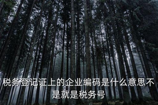 稅務(wù)編碼是什么意思，稅務(wù)登記證上的企業(yè)編碼是什么意思不是就是稅務(wù)號