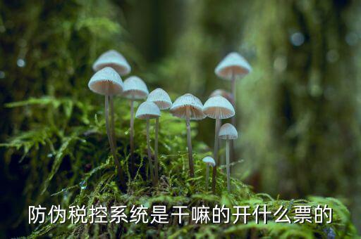 什么是稅控系統(tǒng)數(shù)據(jù)，金稅盤是什么