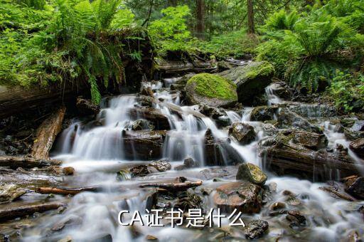ca證書驅動是什么意思，我電腦上安裝了其他電子證書的驅動還能使用中國移動的CA證書驅