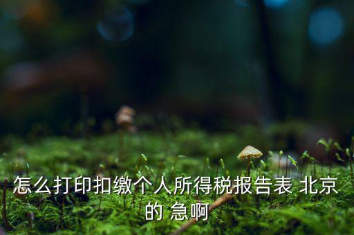 北京打印個(gè)稅需要什么資料，怎么打印扣繳個(gè)人所得稅報(bào)告表 北京的 急啊
