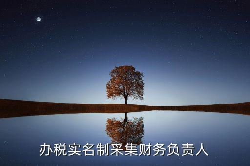 什么是實(shí)名辦稅，辦稅實(shí)名制采集財(cái)務(wù)負(fù)責(zé)人