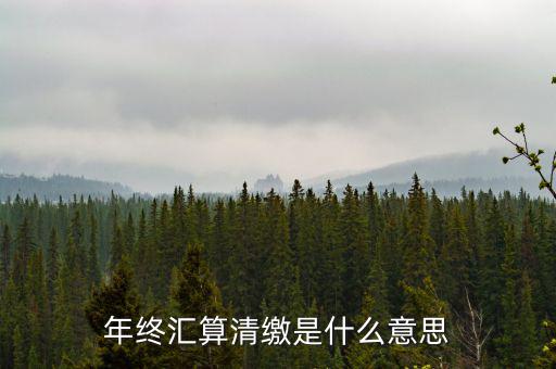 什么是企業(yè)匯算清繳，為什么年底要進(jìn)行企業(yè)所得匯算清繳