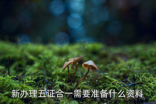 稅務五證合一需要什么資料，五證合一后稅務變更需要什么資料