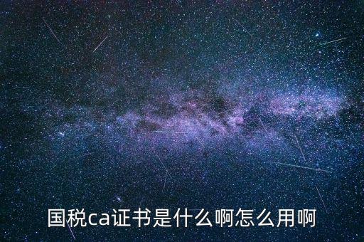報稅的ca證書什么樣，稅務(wù)ca是什么意思是聯(lián)通ca證書嗎