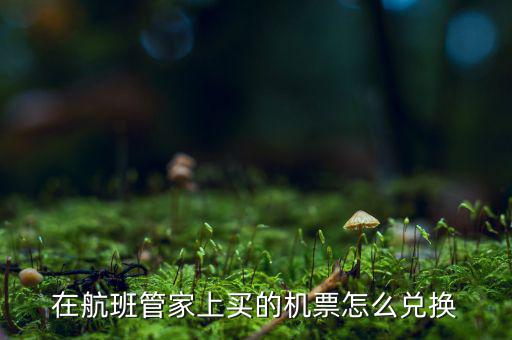 在航班管家上買(mǎi)的機(jī)票怎么兌換