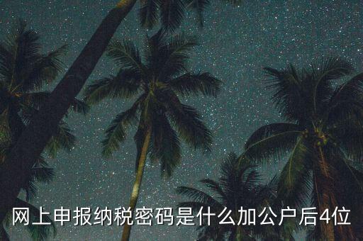 網(wǎng)上如何申報(bào)國(guó)稅密碼是什么，國(guó)稅第一次網(wǎng)上申報(bào)的登陸密碼是什么