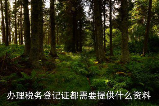 辦理稅務(wù)登記需要什么資料，辦理稅務(wù)登記證都需要提供什么資料