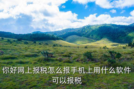 國(guó)稅保稅需要下載什么，你好網(wǎng)上報(bào)稅怎么報(bào)手機(jī)上用什么軟件可以報(bào)稅