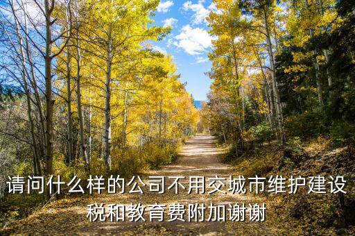 什么情況不交城建稅，什么時候不需要交納營業(yè)稅城建稅及附加