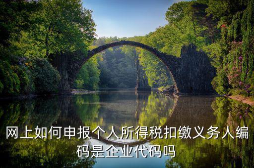 江西省個稅代扣系統(tǒng)的編碼是什么，網(wǎng)上如何申報個人所得稅扣繳義務人編碼是企業(yè)代碼嗎