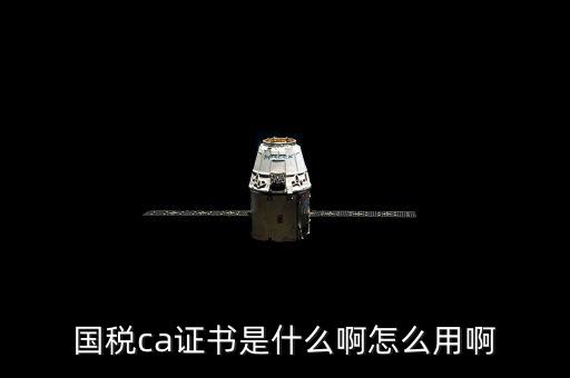 國稅的ca證書是什么意思，CA證書是什么東西包括pfx cert么