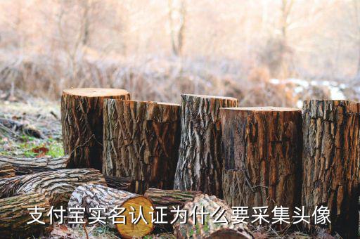 為什么要實(shí)名采集，會(huì)計(jì)人員為什么要信息采集