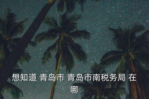 青島稅務局在什么地方，青島國稅局在什么位置在什么路上