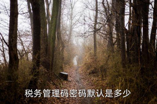 湖北國稅盤原始密碼是什么意思，湖北地稅網絡發(fā)票登陸密碼是什么急急急