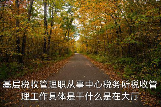 稅源管理干什么，基層稅收管理職從事中心稅務(wù)所稅收管理工作具體是干什么是在大廳