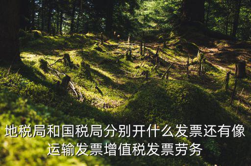 地稅局和國(guó)稅局分別開什么發(fā)票還有像運(yùn)輸發(fā)票增值稅發(fā)票勞務(wù)