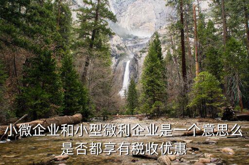 小型微利企業(yè)是什么，小微企業(yè)和小型微利企業(yè)是一個(gè)意思么是否都享有稅收優(yōu)惠