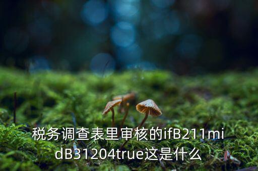 國稅調(diào)查表有什么意義，國稅要求地址普查的目的是什么