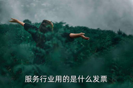 服務(wù)業(yè)發(fā)票是什么發(fā)票，服務(wù)發(fā)票是不是普通發(fā)票的一種