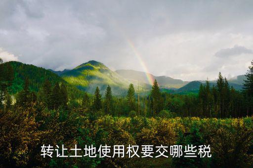 轉(zhuǎn)讓土地使用權(quán)要交什么稅，轉(zhuǎn)讓土地使用權(quán)要交哪些稅
